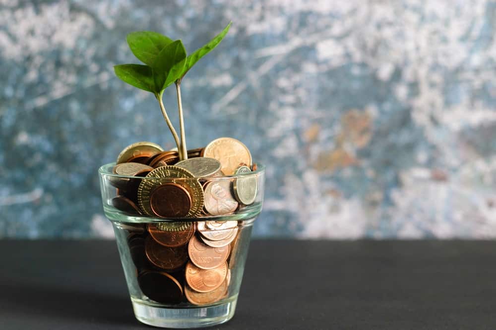 A glass vase with coins and a plant growing out of it.