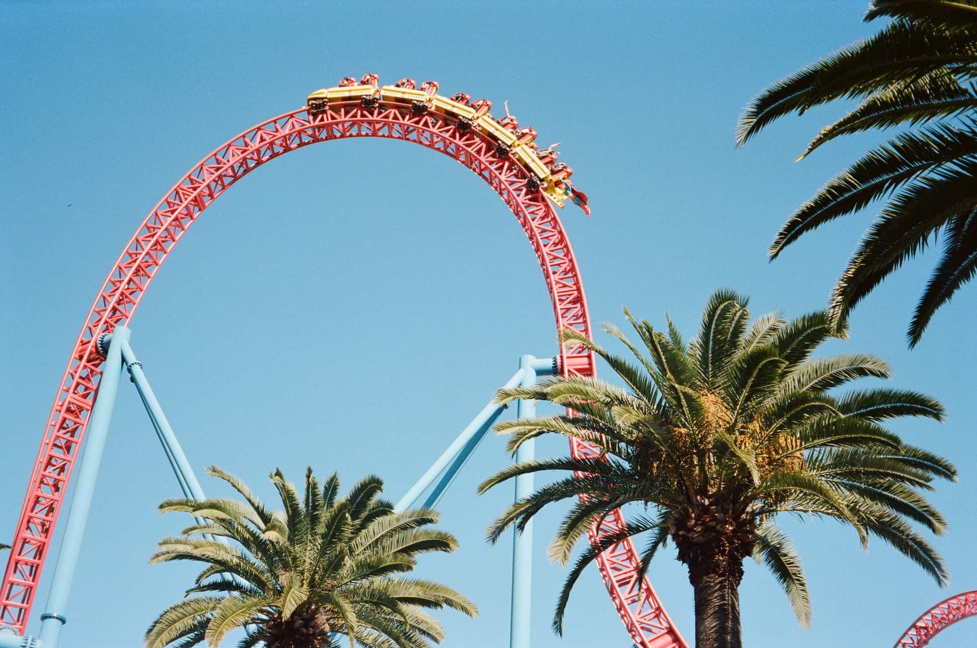 A roller coaster ride with palm trees in the background.