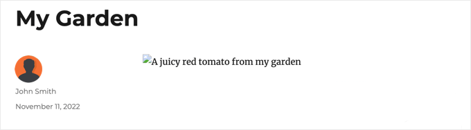 Broken image shows alt text that says a juicy red tomato from my garden.