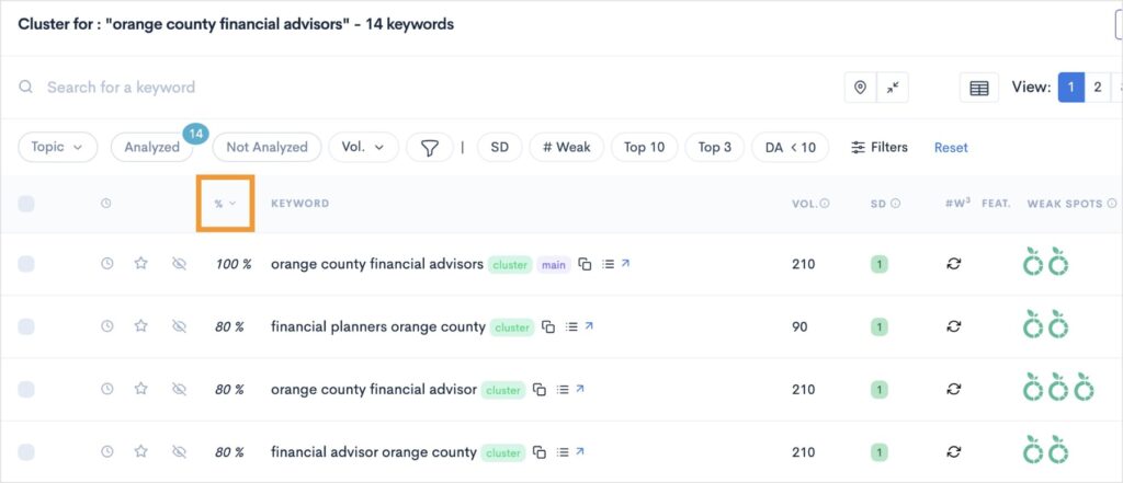 Local  SEO keyword research report sorted by descending relevancy.